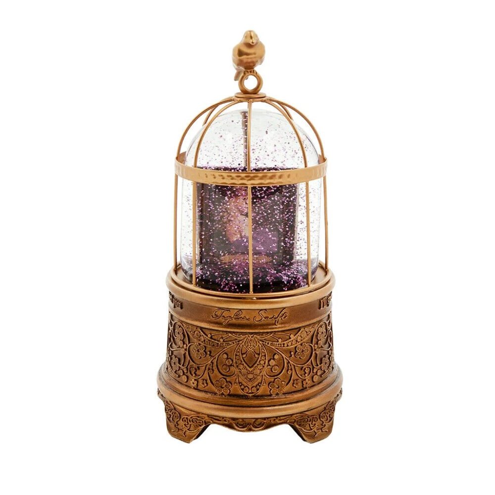 Taylor Swift Speak Now Snow Globe Taylor's Version Frame Snowglobe IN HAND Eras - Picture 2 of 6